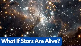 What If Stars Are Alive? Plasma Life Theory Explained