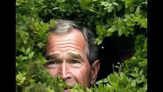 George Bush - Lee Sin