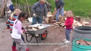 Holzer in Sedrun