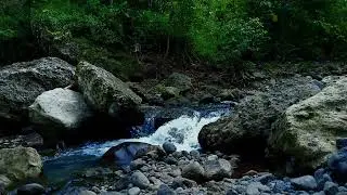 Deep River Whispers - Soothing ASMR for Relaxation & Sleep | sleep - relax - enjoy life - ASMR