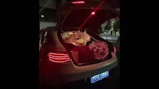 Бота коздерин (speed up)