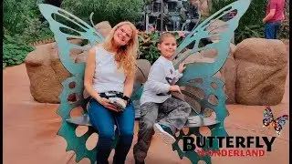 Butterfly Wonderland: A Rainforest Exhibit 🦋Scottsdale Arizona 4K