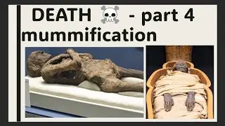 #MUMMIFICATION PROCESS AND CHARACTERISTIC ARE EASILY EXPLAINED IN HINDI #FORENSIC MEDICINE. 