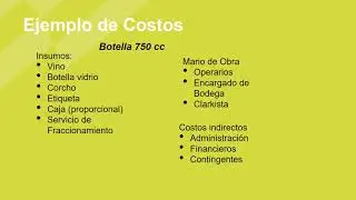 Pppt con audio. Costos. Gesti&oacute;n de empr. vitiv.