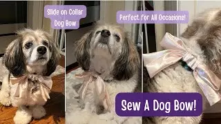 Sew a Dog Bow! DIY Slide On Dog Bow for Collar | DIY Wedding Apparel for Dogs | DIY Dog Accessories