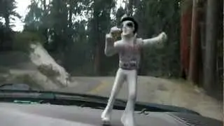 Tiny Elvis and the Big Trees