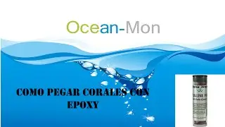 OceanMon: Como pegar corales con Epoxy 