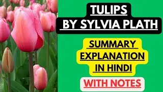 Tulips by Sylvia Plath | Summary Explanation in Hindi with Notes