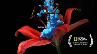 Dance Dance 8K