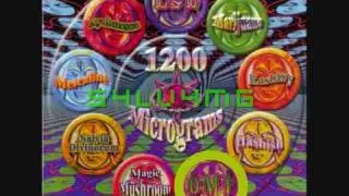 DMT / 1200 Micrograms