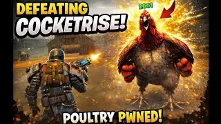 This Chicken Boss Was Hilarious 🐓😂