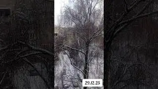 Снег идёт 