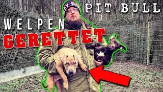 SIE WÄREN FAST GESTORBEN 😥 emotionale EHRENAKTION! ❘ TIERSCHUTZ ❘ Max Cameo