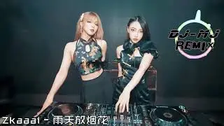 Zkaaai - 雨天放烟花 DJ-MJ Electro Remix【你送我的花眼睑里都装不下，你怕说错话所以揭开我伤疤。】🔥🔥 4K Music Video
