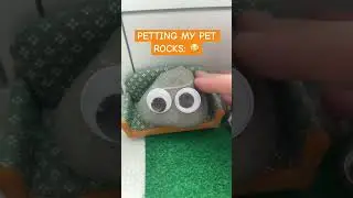 Petting my rocks just feels different 😝#shorts #petrock #cute