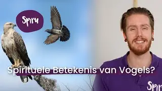 #21 Ken jij De Spirituele Betekenis van deze Vijf Vogels? | Boodschappen van Boven