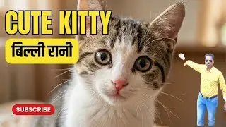 💕 Cute kitty Cat Became a Boss 😽 