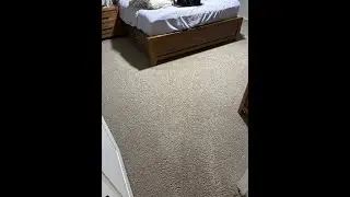 Carpet Cleaning And Pet Stain Removal Services in Von Ormy TX