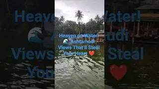 🌊 Mesmerizing Ashtamudi Lake Scenery from Our Boat House Stay! 🛶✨ #KeralaDiaries #boathouse #travel