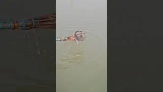 Amazing village flood water boat cast koch fishing | Boat fishingvideo(part_109)#shorts #viral #fish