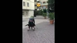 Ritorno a casa!