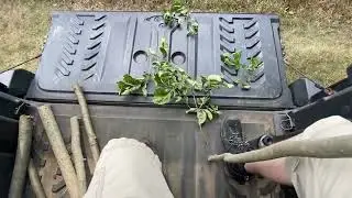 Creating a Hickory Walking Stick