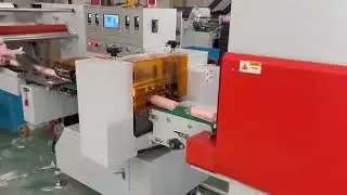High-Speed Flow Pack Shrink Wrap Solution for Garbage Bags