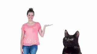 Coast 2 Coast (Stock cats)
