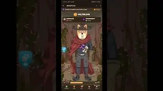 MemeFi today's Secret Tap Combo 24/08/2024 Get free 500K MemeFi coins daily #shorts #youtubeshorts