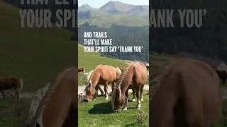 Spain's Mountain Therapy
