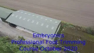 Professional Foot Trimming Course October 2020