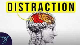 [NeuroScience] Stop Getting Distracted | Distraction से कैसे बचे | Rewirs