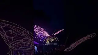Mysore Dussehra Flower Show 2025