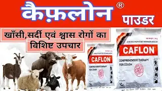 pashu ke khasi jukam ki dawai l Caflon Powder l पशुओं के खांसी जुकाम की Left(natural remedies) #vet