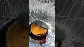 Solar Cooking a Pie in West's Tree Pot solar cooker June 2023