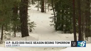 Tahquamenon Country Sled Dog Race kicks off racing season in the UP