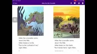 Miles the Nile Crocodile razkid 2/12