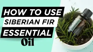 What is Siberian Fir Essential Oil Good For?