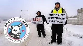 1st Vigil by Forssa Pig Save - Save Movement Finland