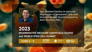 Age-Related Decline in Immune Regulation and Immune-Based Senotherapeutics; Amit Sharma, PhD