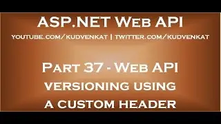 Web API versioning using a custom header