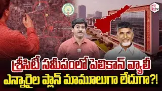 SumanTV Chief Editor Keshav About Pelican Valley near Sri City NRIs' plan in AP | CM Chandrababu