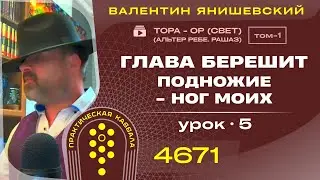 ТОРА - ОР (СВЕТ). Глава Берешит. ПОДНОЖИЕ-НОГ МОИХ. Урок 5 (АЛЬТЕР РЕБЕ.РАШАЗ.). Том 1