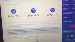 1st Week Bitpetite ($81,897!)