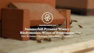 Summerhill Pyramid Winery - Biodynamics and wines of provenance