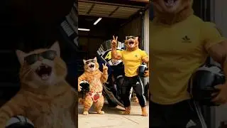 cat and dad, motorcycle specialist and peace style #shortvideo #asmr