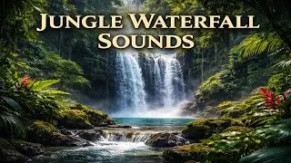 Jungle Waterfall Sounds | Relaxing Nature Ambience for Sleep & Relaxation