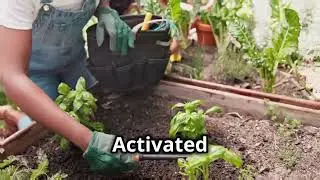 Activated Biochar Soil Amendment for Gardening (Quick Overview) 🌿🔥