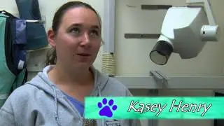 VET TECH