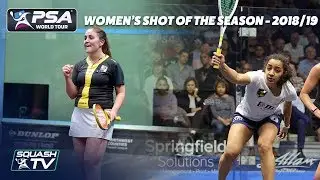 Squash: Women's Shot of the Season Shortlist 2018/19